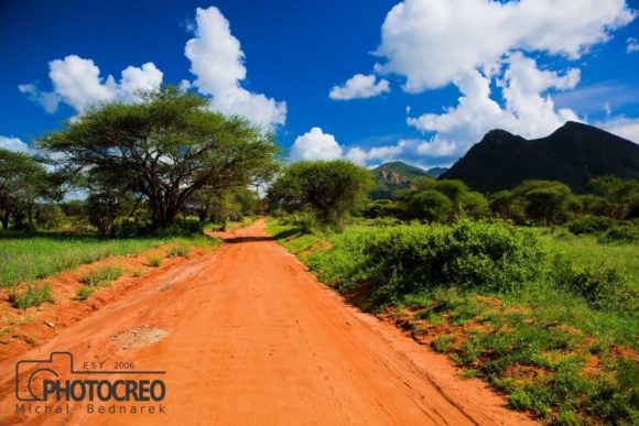 Red Soil Road: Capturing the Raw Beauty of Tsavo West for Creative Projects