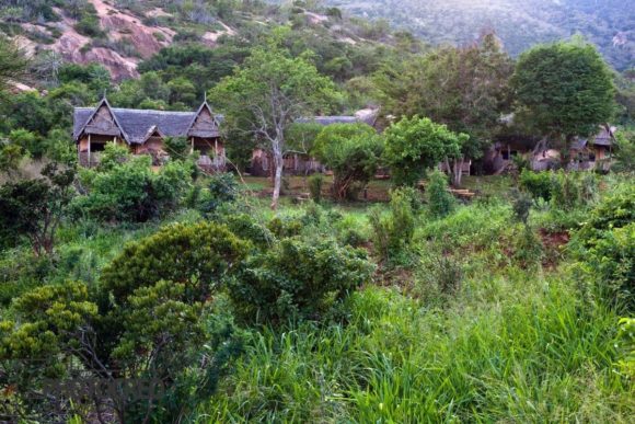Tourist Lodge: Capturing the Essence of African Safari Luxury in Tsavo West