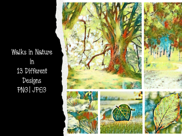 Walks in Nature in 13 Different Designs: A Creative Resource for Digital Art